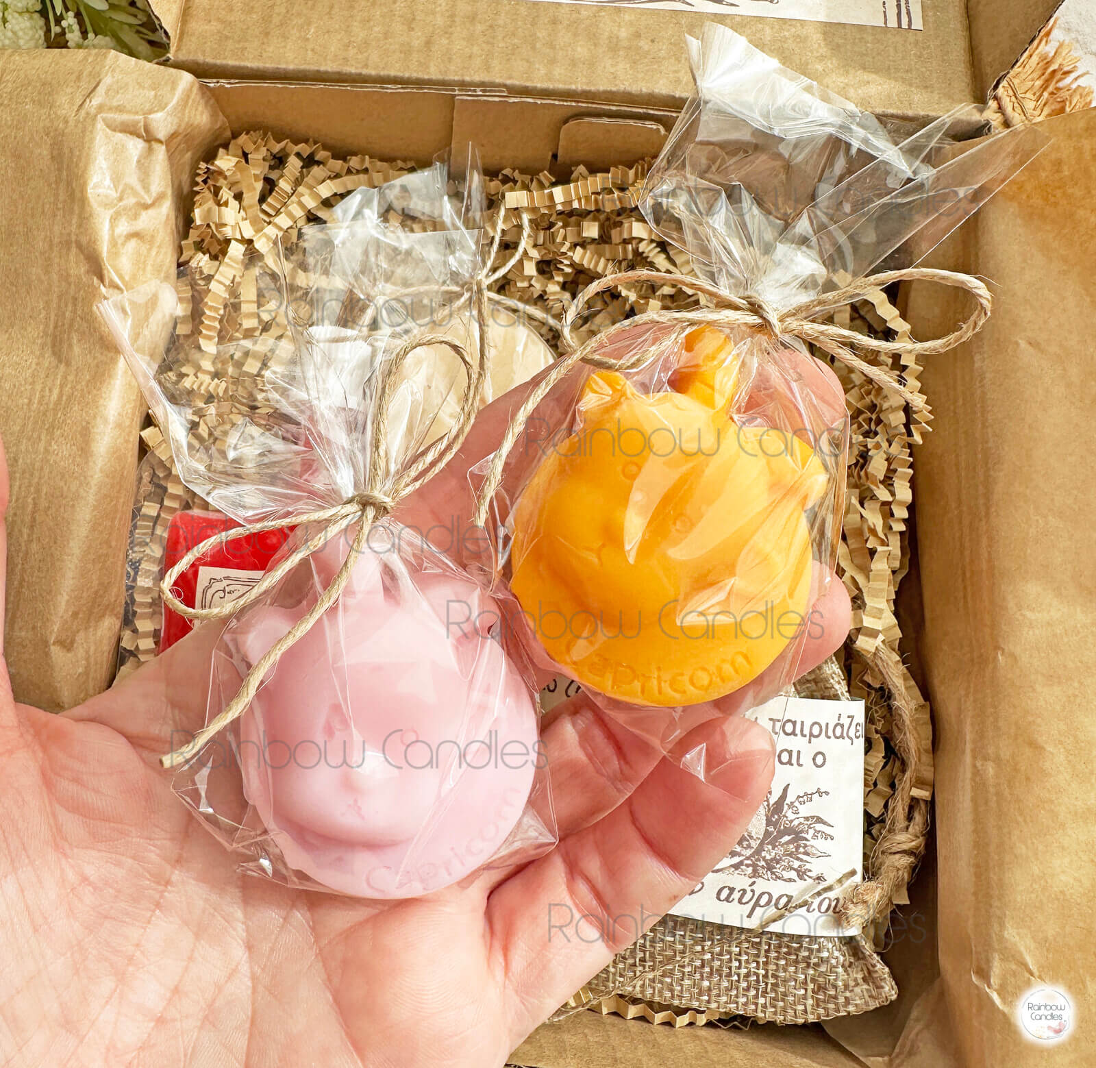 Αιγόκερως wax melts box - Image 5