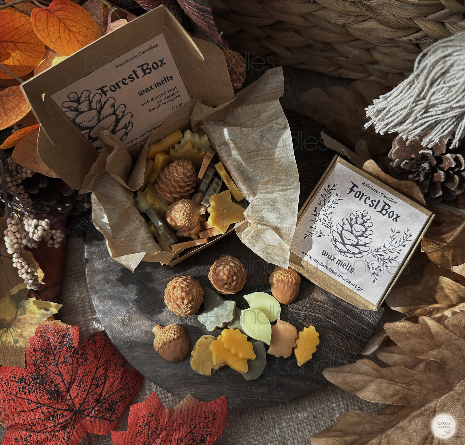 Forest Box