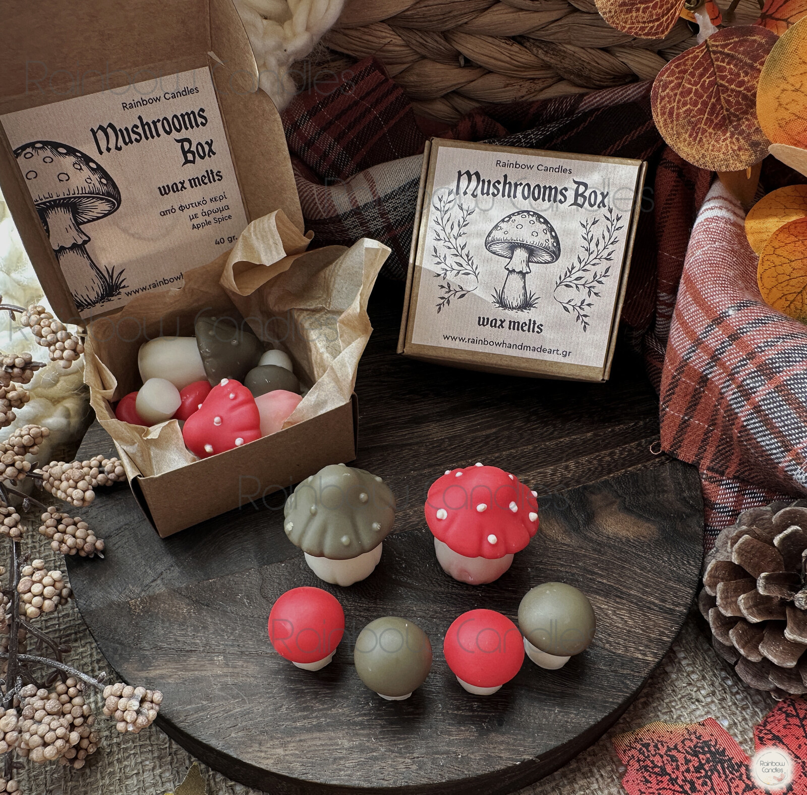 Mushrooms Box